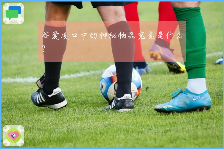 谷爱凌口中的神秘物品究竟是什么？