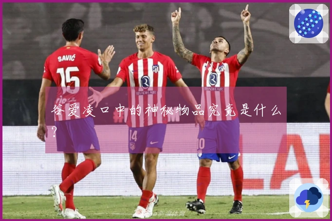 谷爱凌口中的神秘物品究竟是什么？